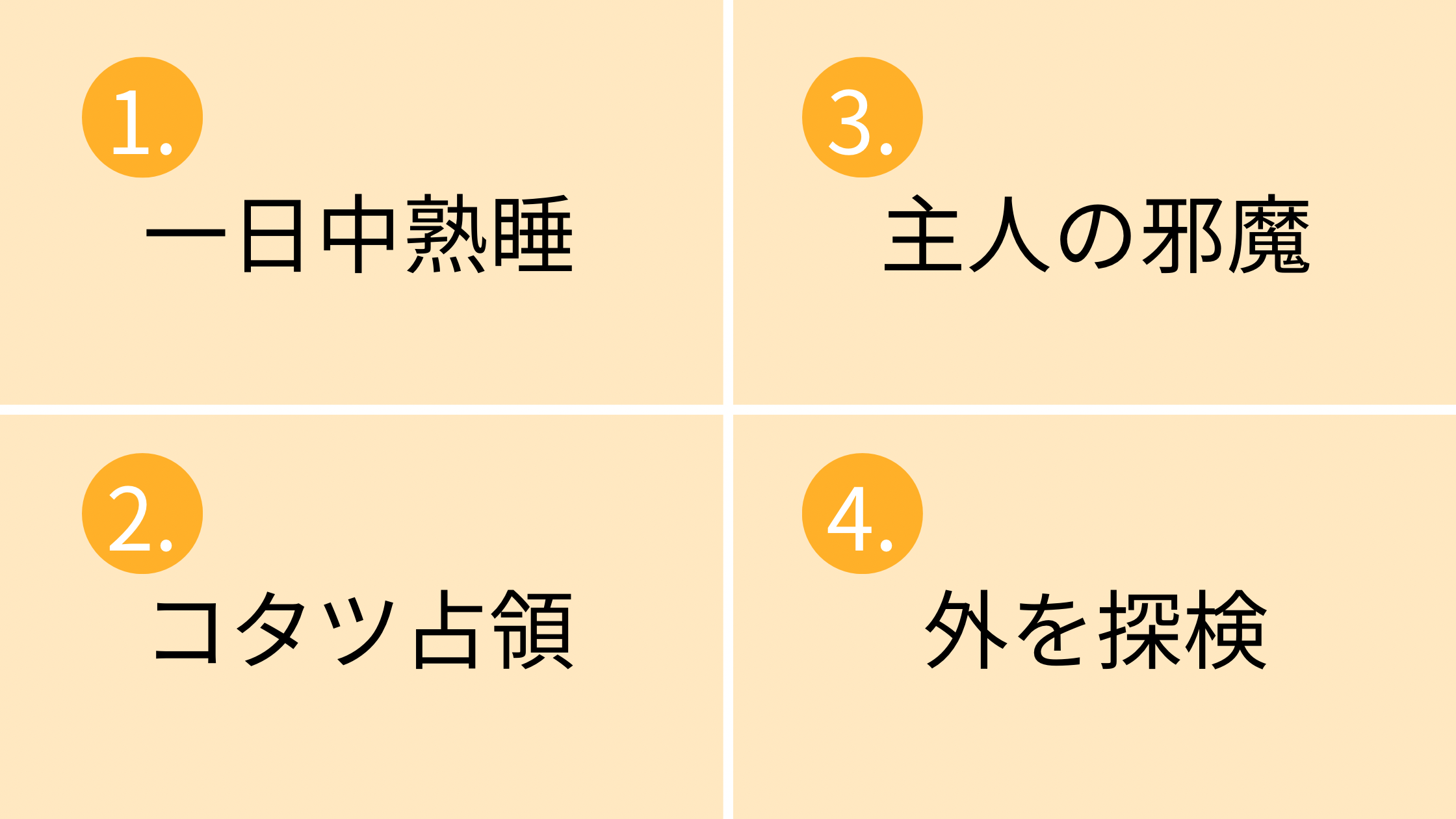 【心理テスト】猫になったらどうする？答えで分かる「理想の暮らし方」